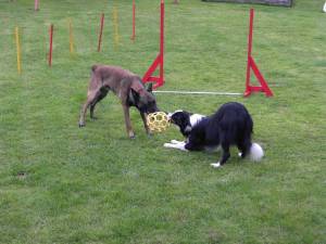 zum sortieren 06-082007 092.jpg